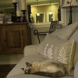 Meet your Posher, Nancy